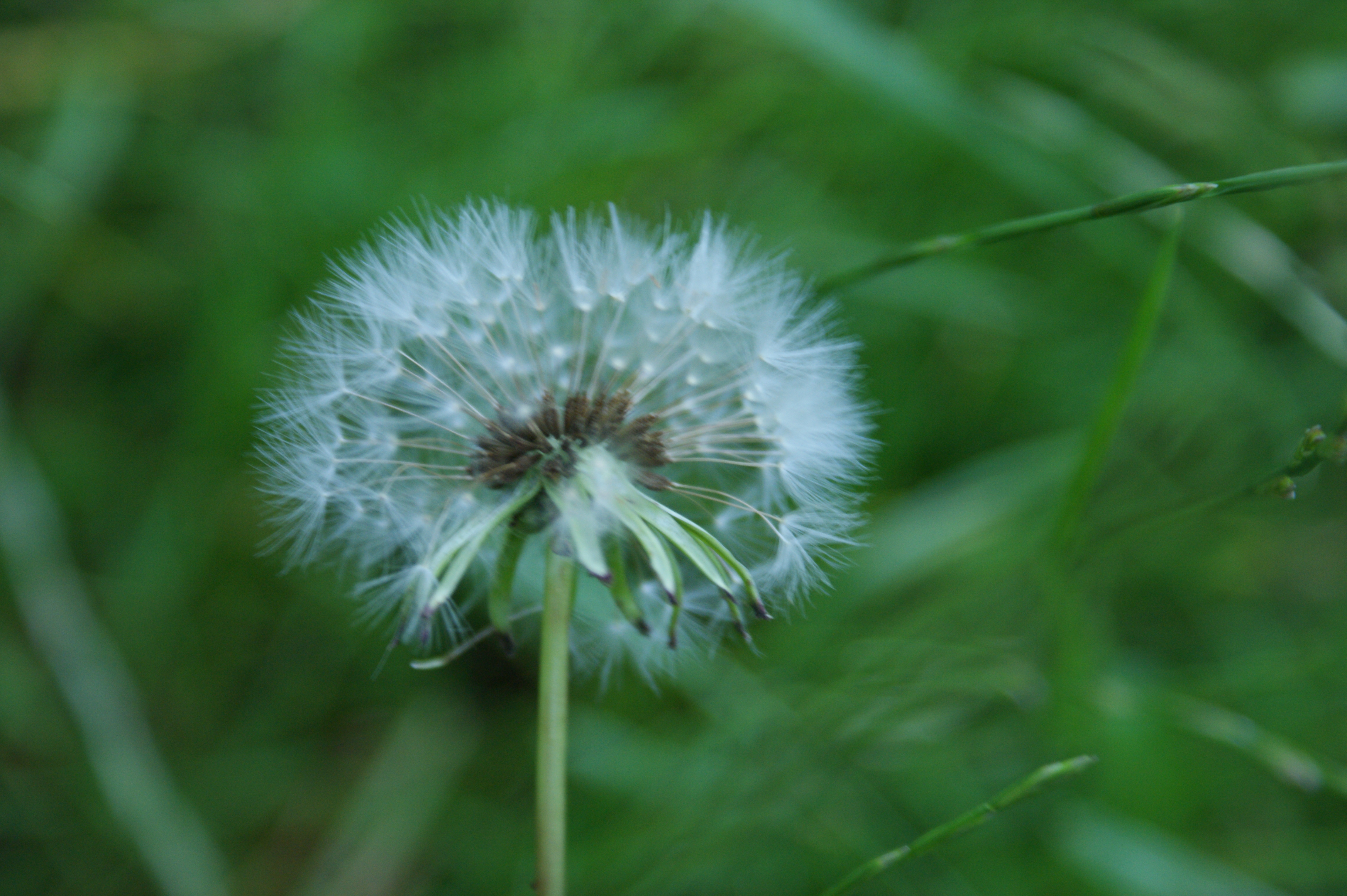 Literatur zum Thema Meditation